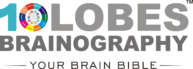 Brainography logo
