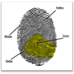 thumb print