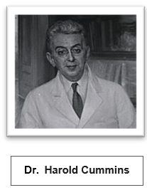 Harold Cummins