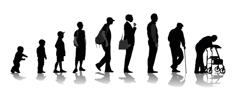 human_cycle